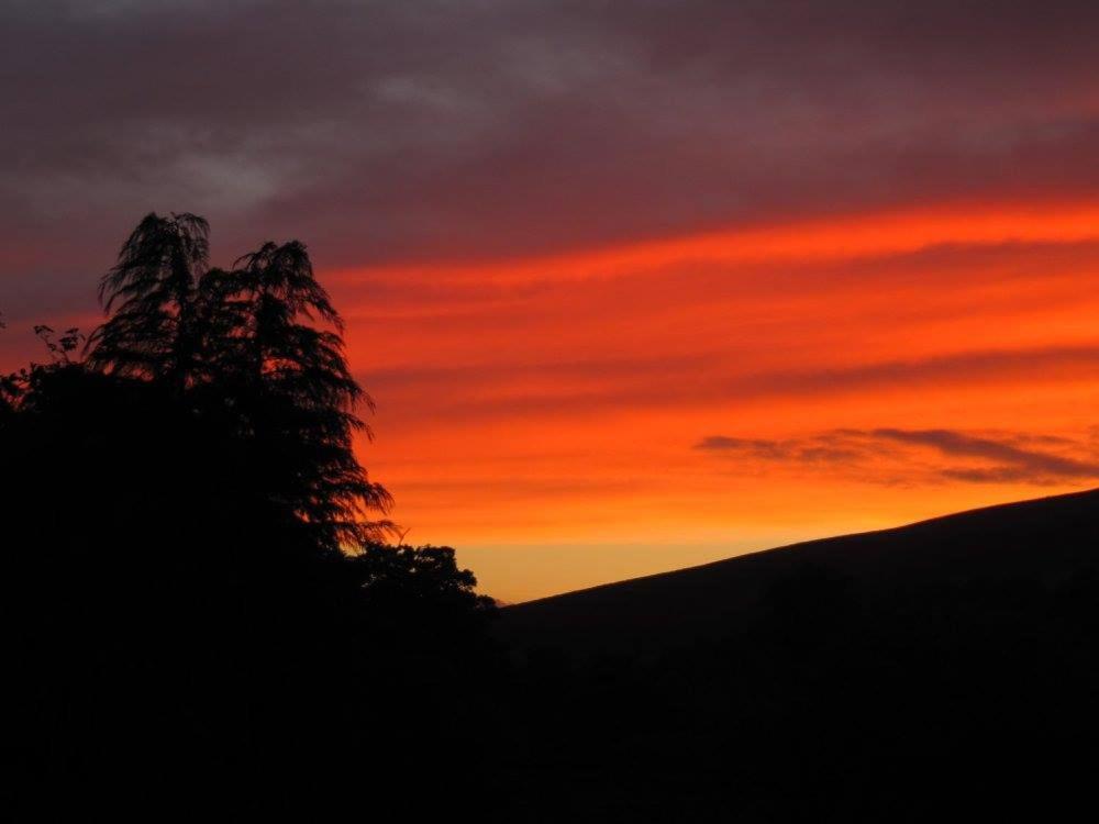 Nant-Y-Glyn Villa Llandrindod Wells Exteriör bild