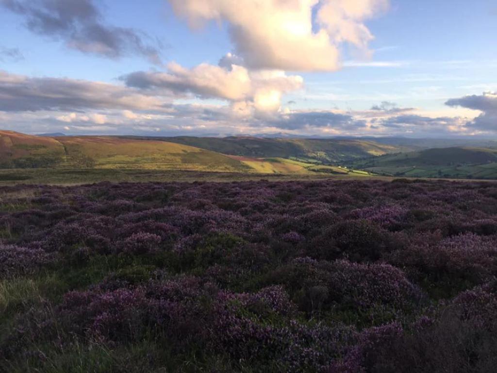 Nant-Y-Glyn Villa Llandrindod Wells Exteriör bild